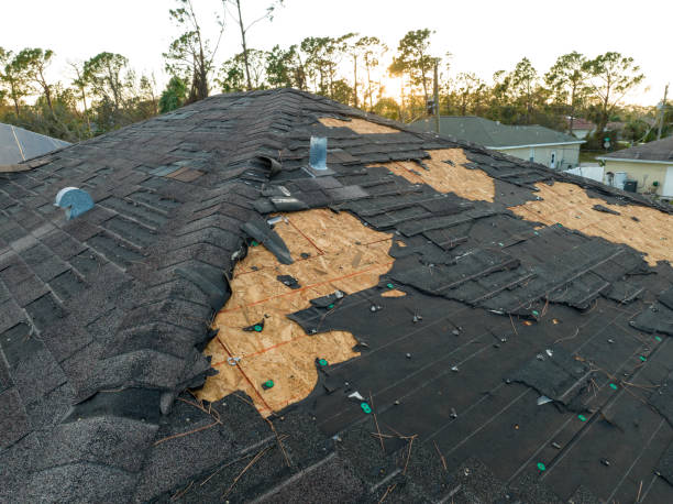 Best Roof Coating and Sealing  in Steamboat Springs, CO