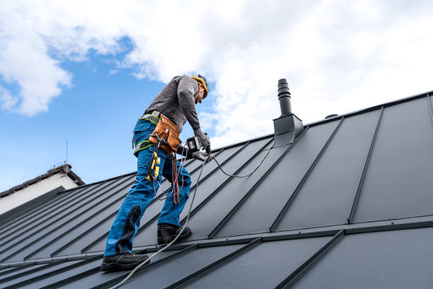 Best Roof Maintenance and Cleaning  in Steamboat Springs, CO